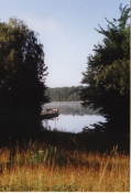 Lorton Lake/ Summer 2000