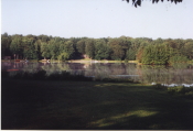 Lorton Lake/ Summer 2000